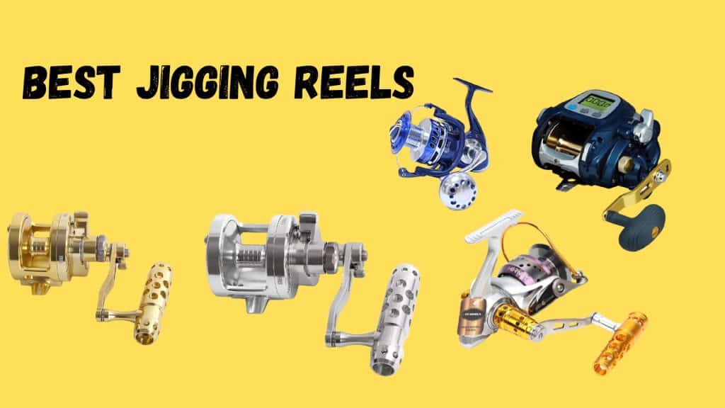 Best Jigging Reels 2022