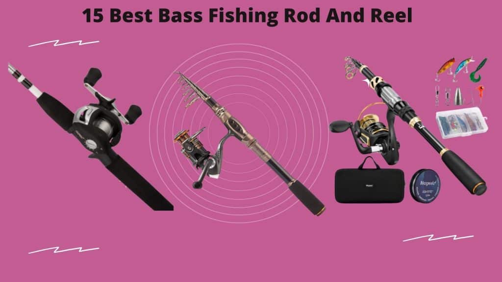 15 Best Bass Fishing Rod And Reel