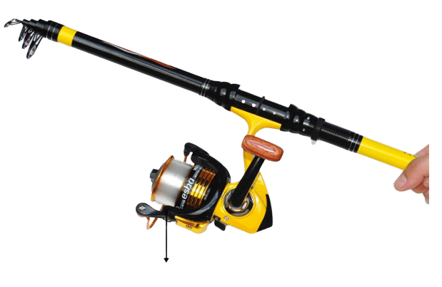 RICHCAT Fishing Rod and Reel Combo